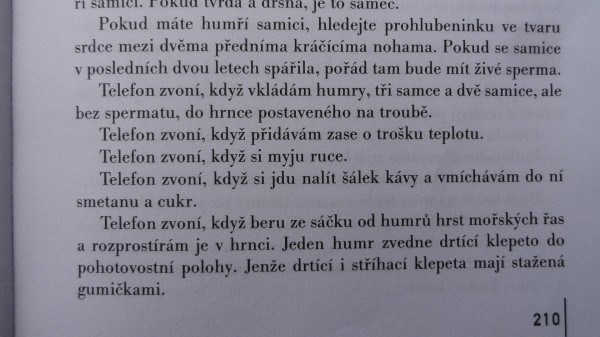 program02