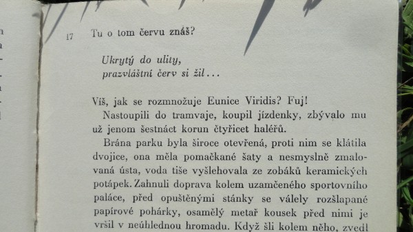 milenci03