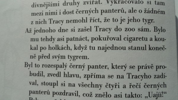 tracy02