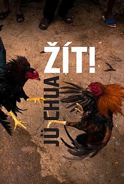 zit